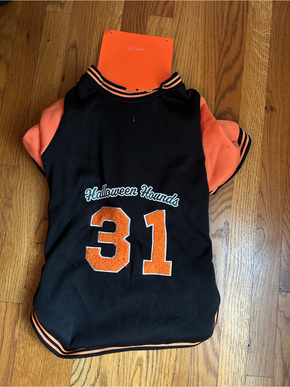 Halloween Hounds Black & Orange Dog Jersey - Number 31 xl